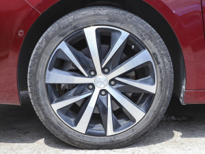 2021400THP PureTech  ݆Ȧ