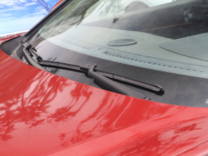 2021400THP PureTech  ˢ