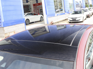 2021400THP PureTech  ܇