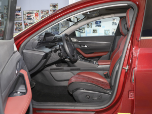 2021400THP PureTech  ǰſg