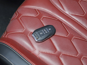 2021400THP PureTech  ܇耳