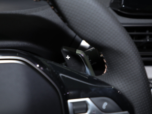 2021400THP GT п؅^(q)