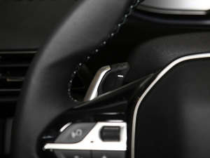 2021360THP (sh) п؅^(q)