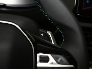 2021360THP (sh) п؅^(q)