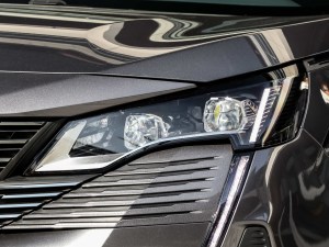 2021400THP ŞGT 7 (ji)^