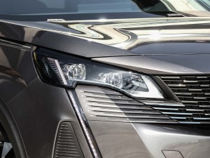 2021400THP ŞGT 7 (ji)^