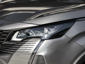 2021400THP ŞGT 7 (ji)^