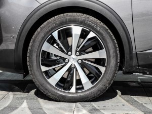 2021400THP ŞGT 7 ݆Ȧ