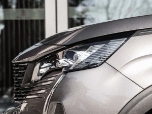 2021400THP ŞGT 7 (ji)^