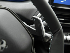 2021360THP  5 п؅^(q)