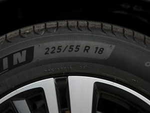 2021360THP  7 ݆̥ߴ