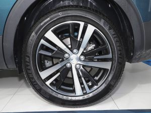 2021360THP hJ 5 ݆Ȧ