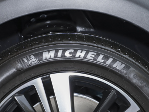 2021360THP hJ 5 ݆̥Ʒ