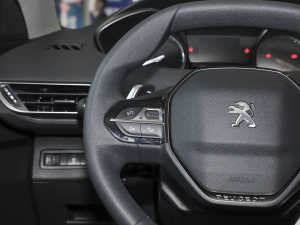 2021360THP hJ 5 п؅^