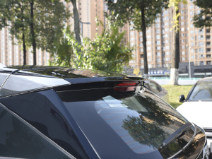 20211.6T PHEV A (x)(ji)^