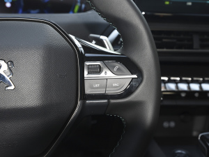 20211.6T PHEV A п؅^