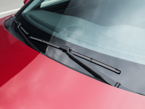 2022400THP PureTech {ذ ˢ