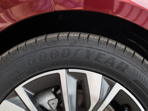 2022400THP PureTech {ذ ݆̥Ʒ