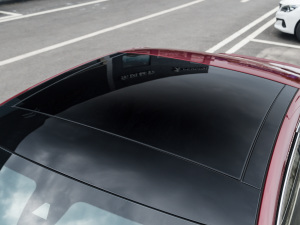 2022400THP PureTech {ذ ܇