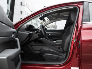 2022400THP PureTech {ذ ǰſg