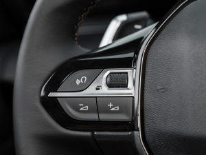 2022400THP PureTech {ذ п؅^(q)