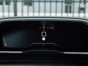 2022400THP PureTech {ذ п؅^