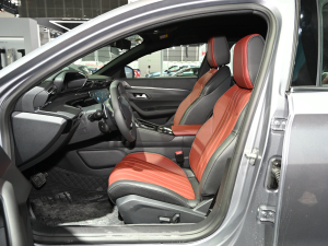 2022400THP PureTech  g