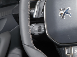 2022400THP PureTech S(dng) (x)(ji)^