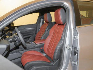 2022400THP PureTech SӰ {