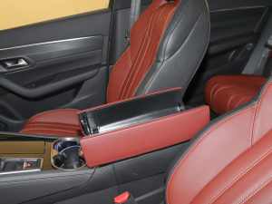 2022400THP PureTech SӰ g