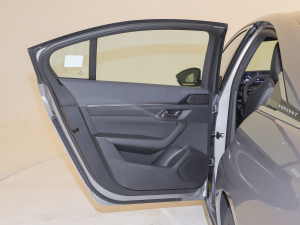 2022400THP PureTech SӰ ܇T