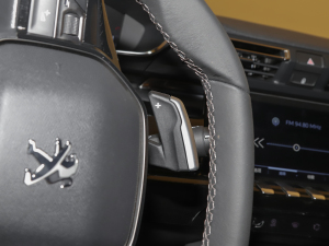 2022400THP PureTech SӰ п؅^