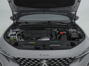 2022400THP PureTech S(dng) l(f)(dng)C(j)