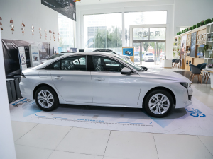 2022360THP PureTech h w^