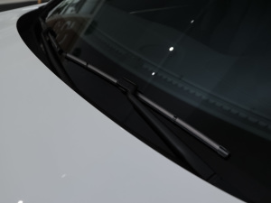 2022360THP PureTech h ˢ