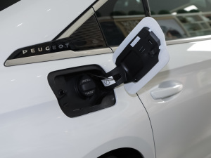 2022360THP PureTech h w