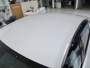 2022360THP PureTech h ܇