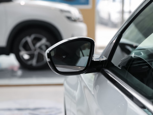 2022360THP PureTech h ^