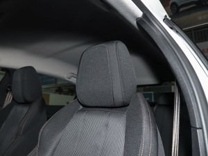 2022360THP PureTech h g