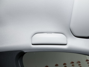 2022360THP PureTech h g