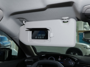 2022360THP PureTech h ꖰ壨