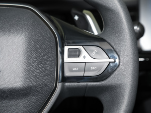 2022360THP PureTech h п؅^(q)