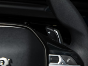 2022360THP PureTech h п؅^(q)