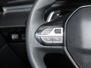 2022360THP PureTech h п؅^(q)