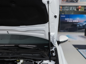 2022360THP PureTech h 