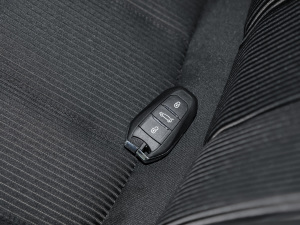 2022360THP PureTech h ܇耳