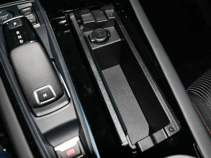 2022360THP PureTech h g