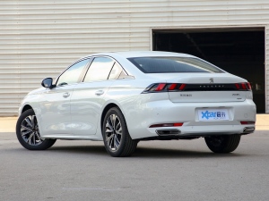 2022360THP PureTech {Ȥ 45