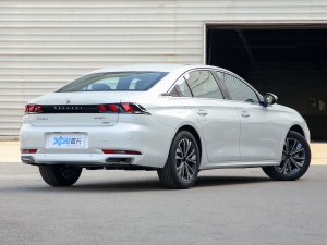 2022360THP PureTech {Ȥ Һ45