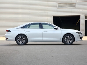 2022360THP PureTech {Ȥ ȣң